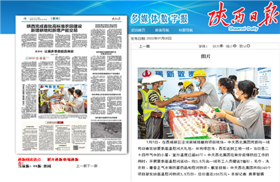 利来w66西北集团珑樾府项目高温慰问——《陕西日报》